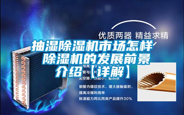 抽湿除湿机市场怎样 除湿机的发展前景介绍【详解】