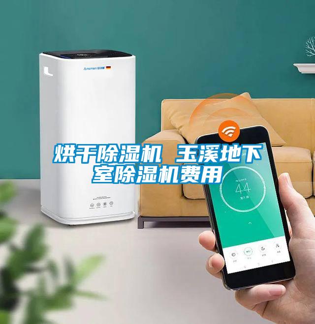 烘干除湿机 玉溪地下室除湿机费用