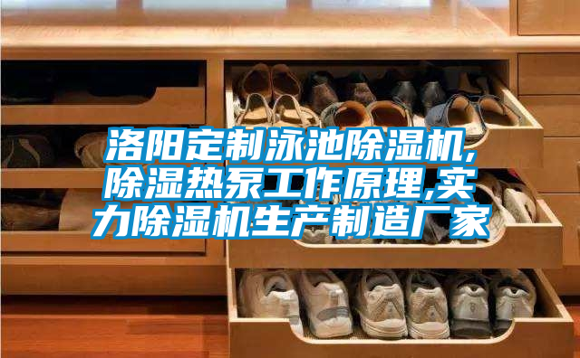 洛阳定制泳池除湿机,除湿热泵工作原理,实力除湿机生产制造厂家