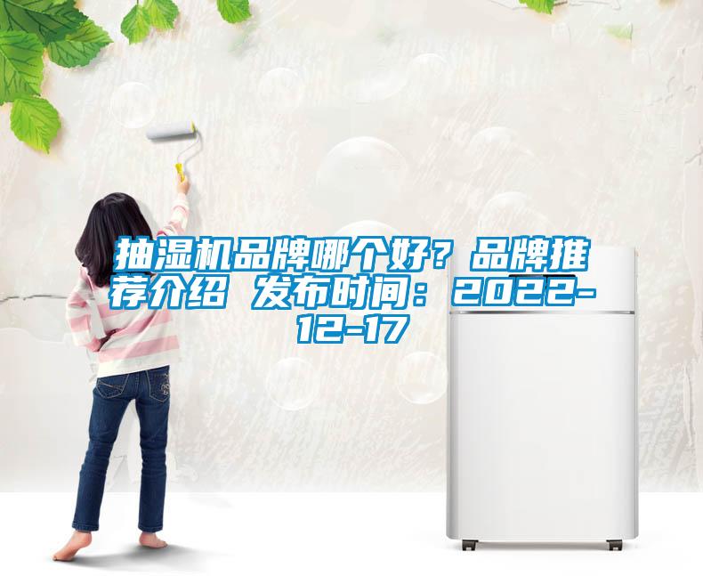 抽湿机品牌哪个好？品牌推荐介绍 发布时间：2022-12-17