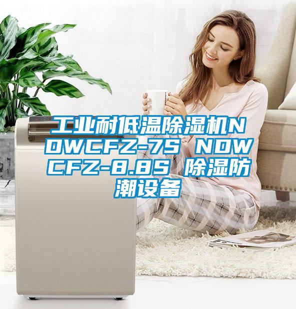 工业耐低温除湿机NDWCFZ-7S NDWCFZ-8.8S 除湿防潮设备