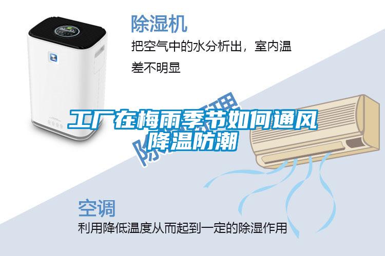 工厂在梅雨季节如何通风降温防潮