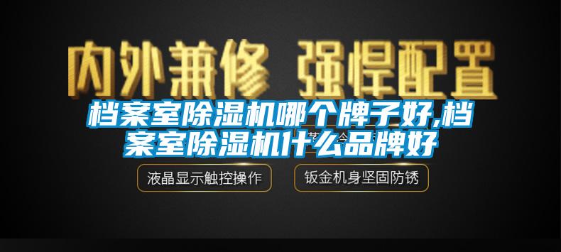 档案室除湿机哪个牌子好,档案室除湿机什么品牌好