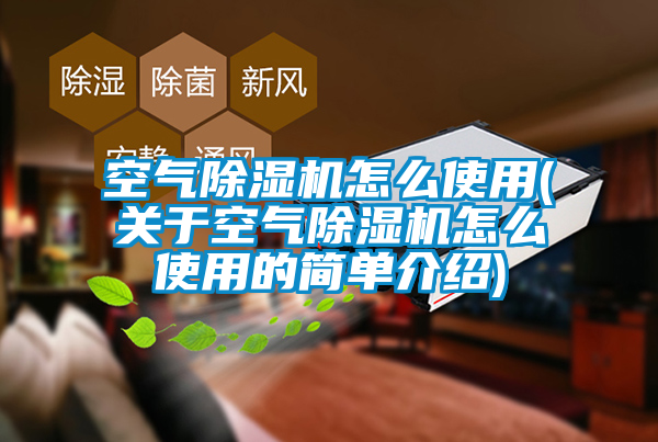 空气除湿机怎么使用(关于空气除湿机怎么使用的简单介绍)