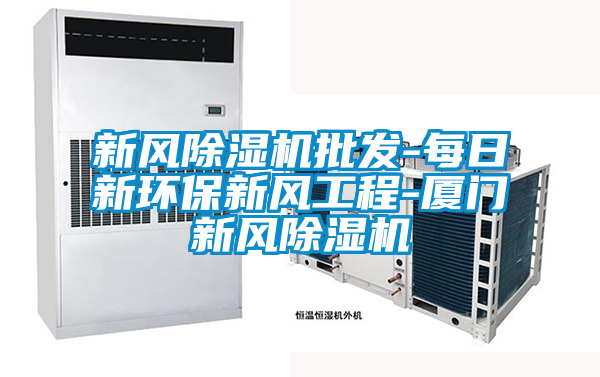 新风除湿机批发-每日新环保新风工程-厦门新风除湿机