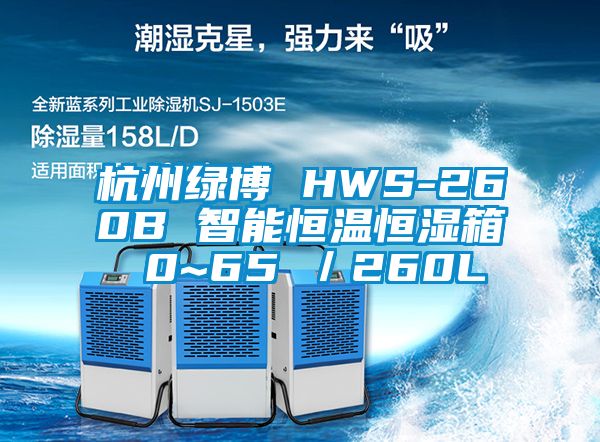 杭州绿博 HWS-260B 智能恒温恒湿箱 0~65℃／260L