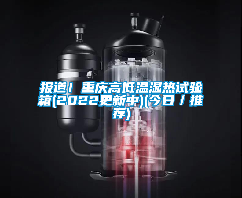 报道！重庆高低温湿热试验箱(2022更新中)(今日／推荐)