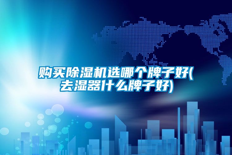 购买除湿机选哪个牌子好(去湿器什么牌子好)
