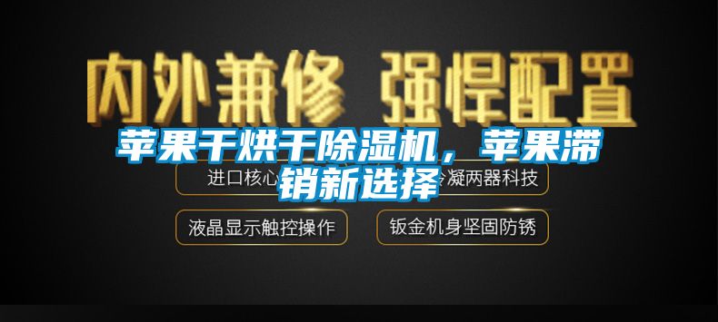 苹果干烘干除湿机，苹果滞销新选择