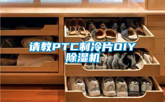 请教PTC制冷片DIY除湿机