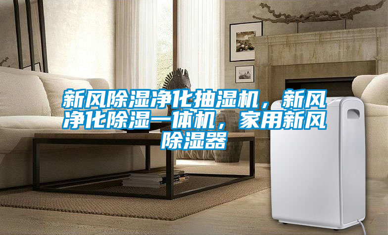 新风除湿净化抽湿机，新风净化除湿一体机，家用新风除湿器