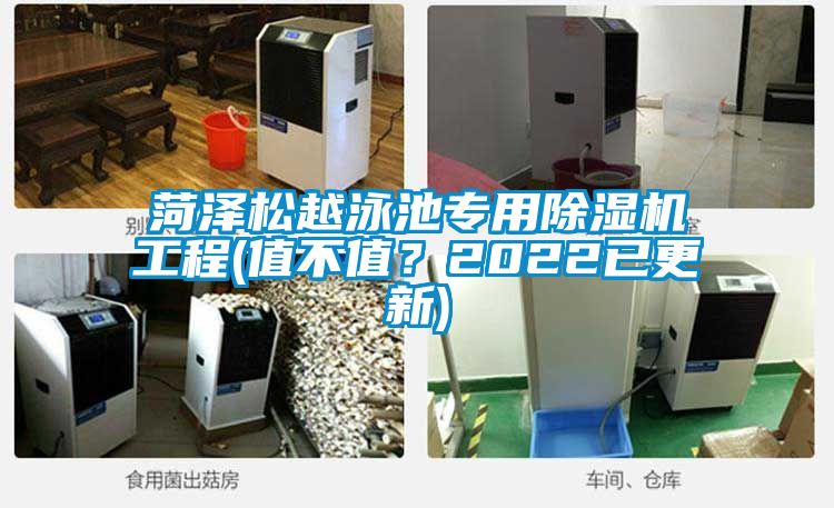 菏泽松越泳池专用除湿机工程(值不值？2022已更新)