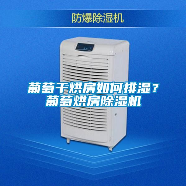 葡萄干烘房如何排湿？葡萄烘房除湿机