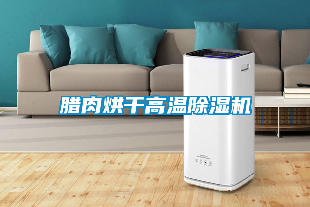 腊肉烘干高温除湿机