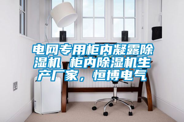 电网专用柜内凝露除湿机 柜内除湿机生产厂家，恒博电气