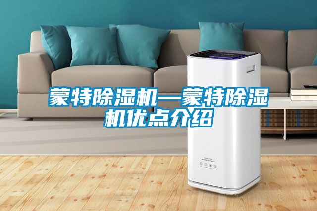 蒙特除湿机—蒙特除湿机优点介绍