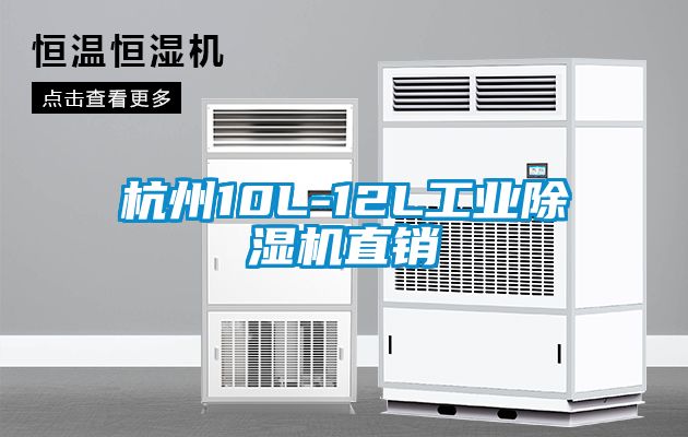 杭州10L-12L工业除湿机直销
