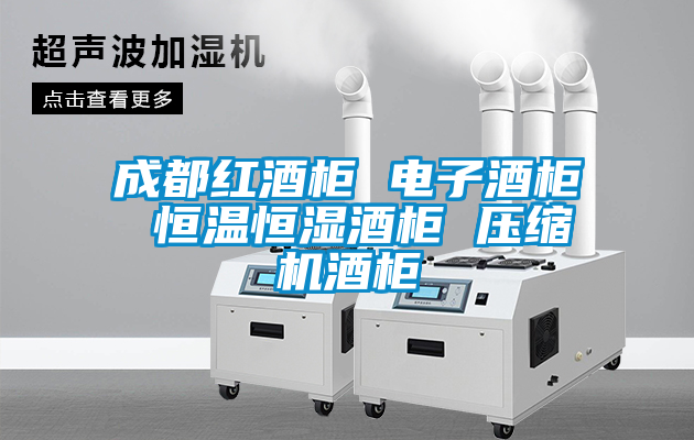 成都红酒柜 电子酒柜 恒温恒湿酒柜 压缩机酒柜