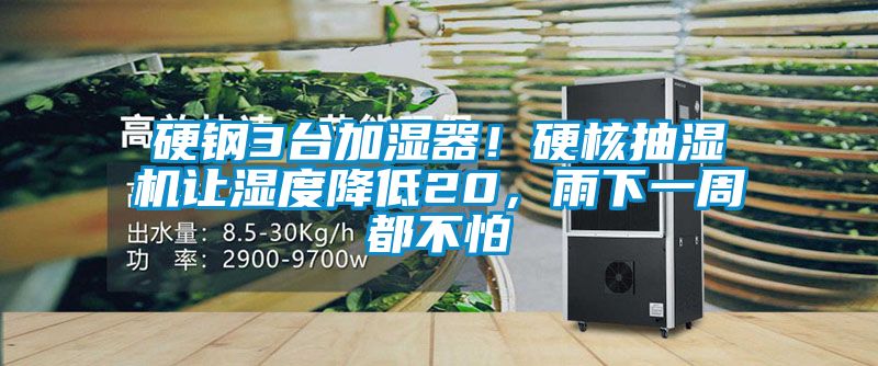 硬钢3台加湿器！硬核抽湿机让湿度降低20，雨下一周都不怕