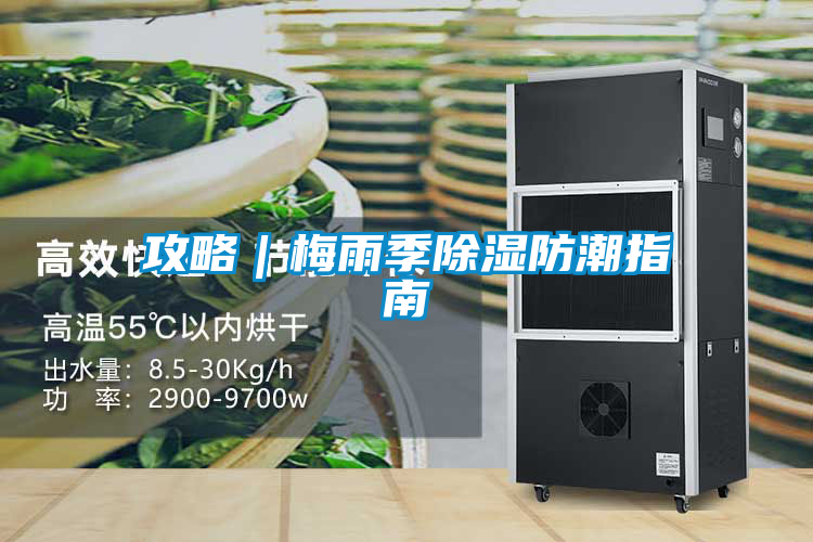 攻略｜梅雨季除湿防潮指南