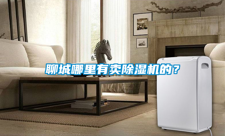 聊城哪里有卖除湿机的？