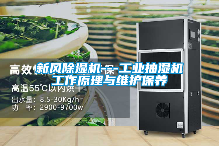 新风除湿机---工业抽湿机工作原理与维护保养