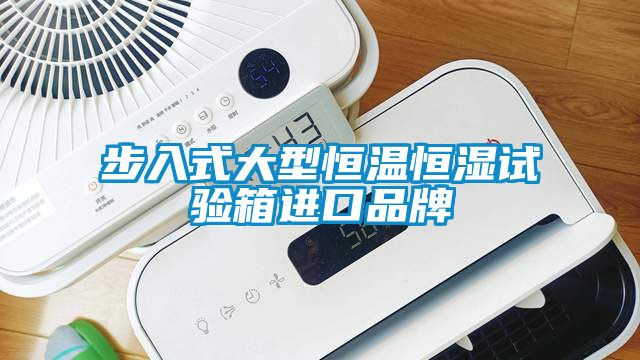 步入式大型恒温恒湿试验箱进口品牌