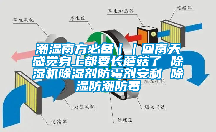 潮湿南方必备｜｜回南天感觉身上都要长蘑菇了 除湿机除湿剂防霉剂安利 除湿防潮防霉