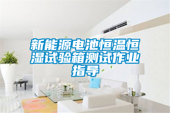 新能源电池恒温恒湿试验箱测试作业指导