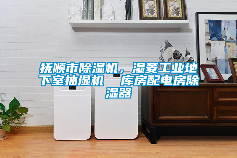 抚顺市除湿机，湿菱工业地下室抽湿机  库房配电房除湿器