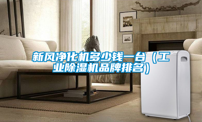 新风净化机多少钱一台（工业除湿机品牌排名）