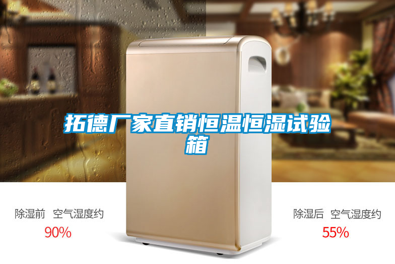 拓德厂家直销恒温恒湿试验箱