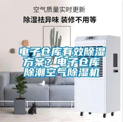 电子仓库有效除湿方案？电子仓库除潮空气除湿机