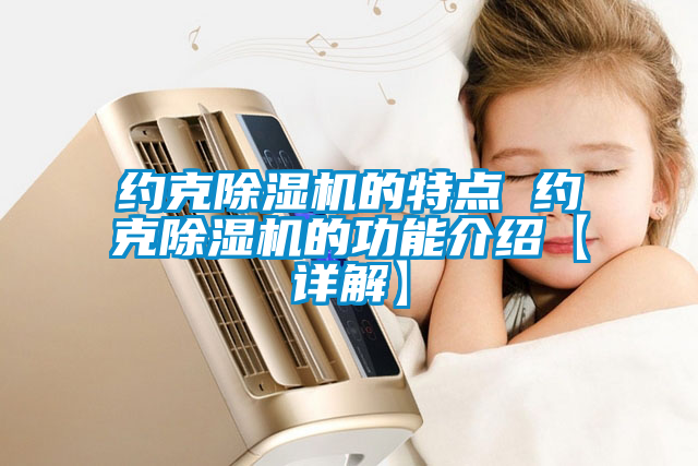 约克除湿机的特点 约克除湿机的功能介绍【详解】