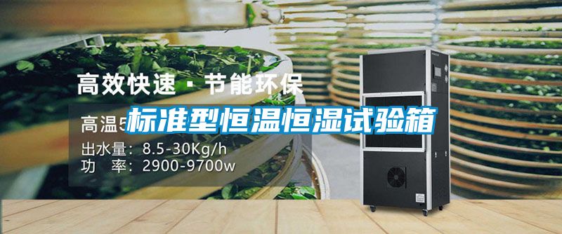 标准型恒温恒湿试验箱