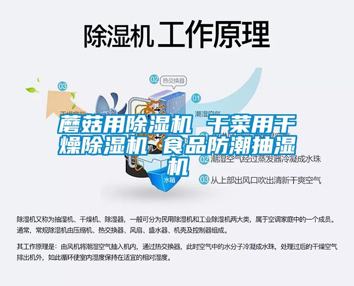 蘑菇用除湿机 干菜用干燥除湿机 食品防潮抽湿机