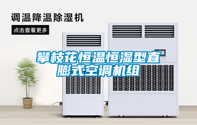 攀枝花恒温恒湿型直膨式空调机组