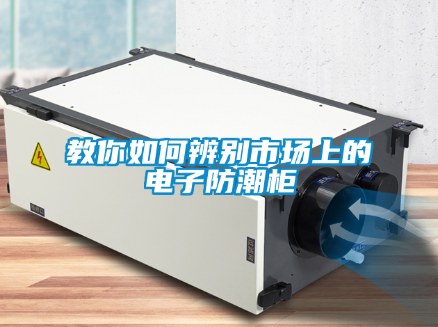 教你如何辨别市场上的电子防潮柜