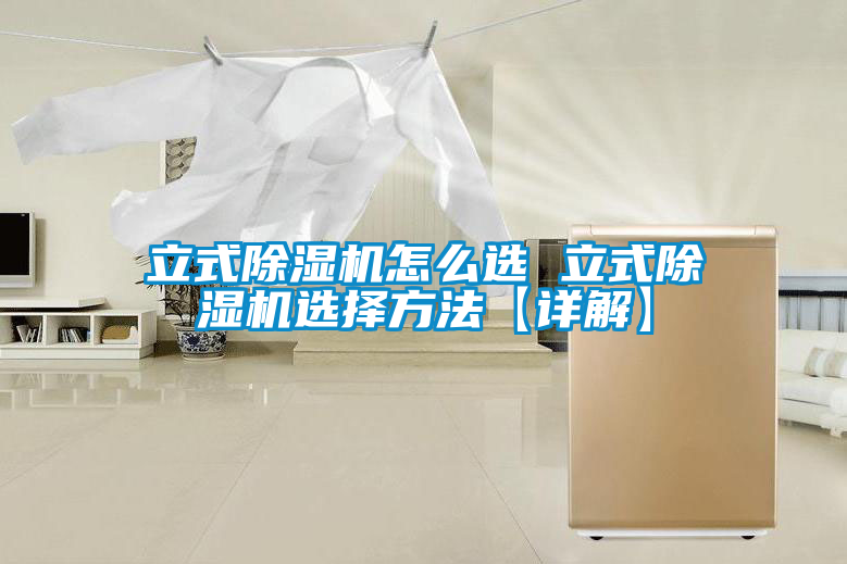 立式除湿机怎么选 立式除湿机选择方法【详解】