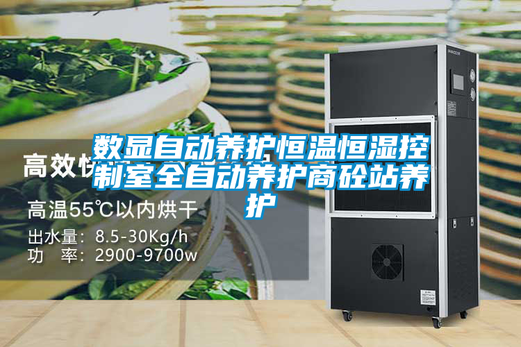 数显自动养护恒温恒湿控制室全自动养护商砼站养护