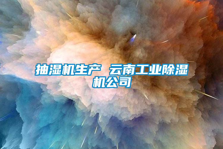 抽湿机生产 云南工业除湿机公司