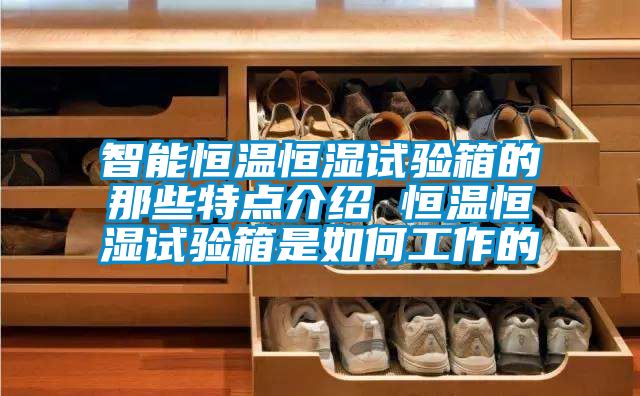 智能恒温恒湿试验箱的那些特点介绍 恒温恒湿试验箱是如何工作的