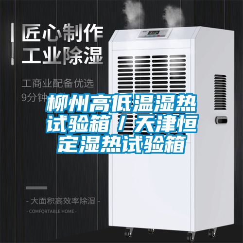 柳州高低温湿热试验箱／天津恒定湿热试验箱