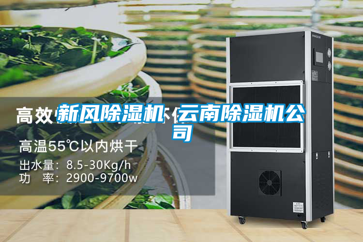 新风除湿机 云南除湿机公司