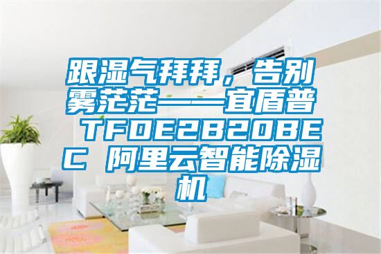 跟湿气拜拜，告别雾茫茫——宜盾普 TFDE2B20BEC 阿里云智能除湿机