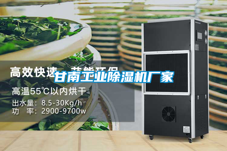 甘南工业除湿机厂家