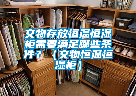文物存放恒温恒湿柜需要满足哪些条件？（文物恒温恒湿柜）