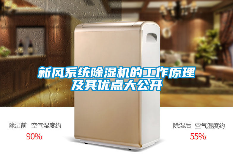 新风系统除湿机的工作原理及其优点大公开