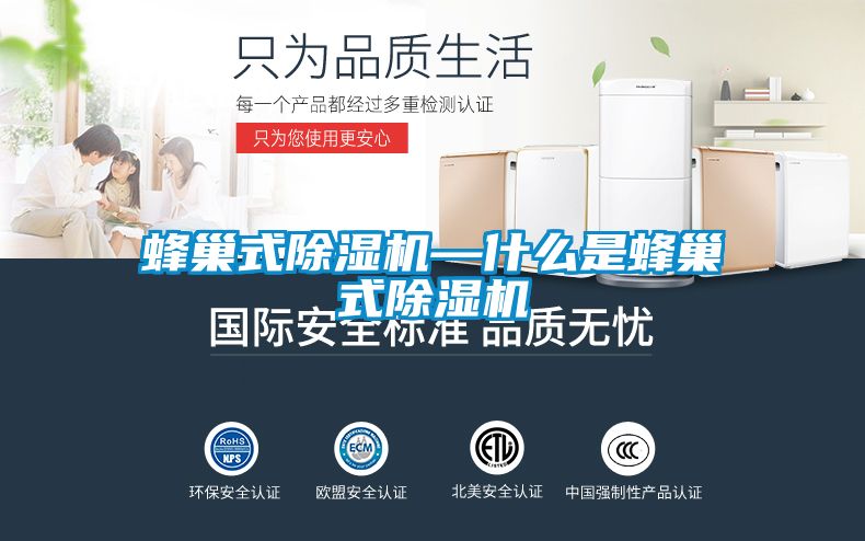 蜂巢式除湿机—什么是蜂巢式除湿机
