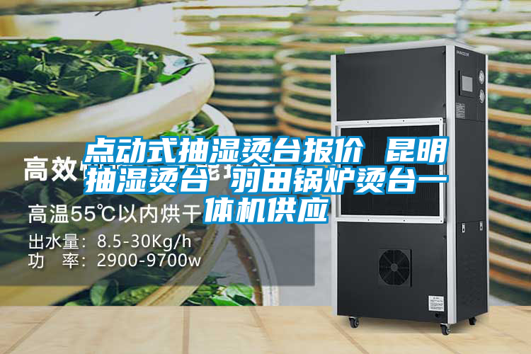 点动式抽湿烫台报价 昆明抽湿烫台 羽田锅炉烫台一体机供应